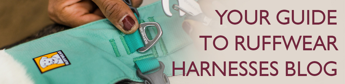 Your guide to Harnesses