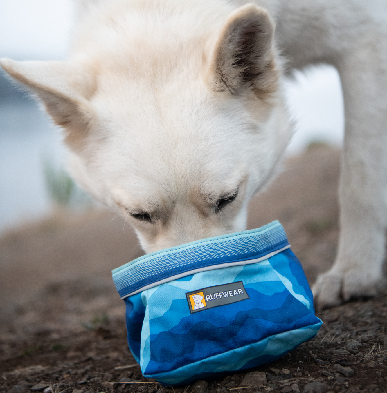 Ruffwear stockists new arrivals