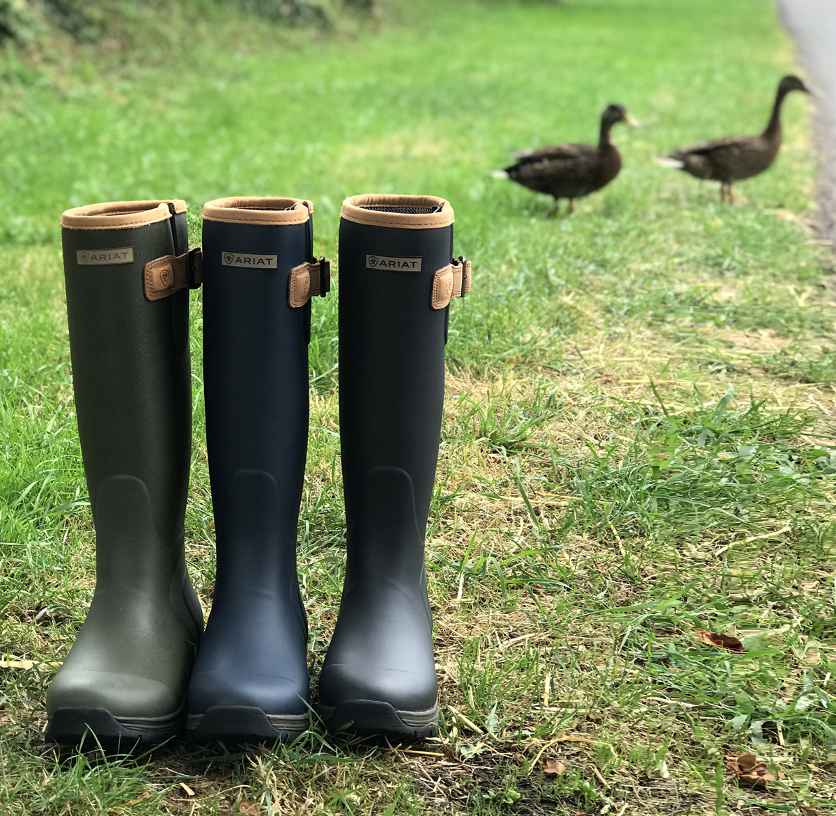Ariat Burford Insulated Wellington Boots