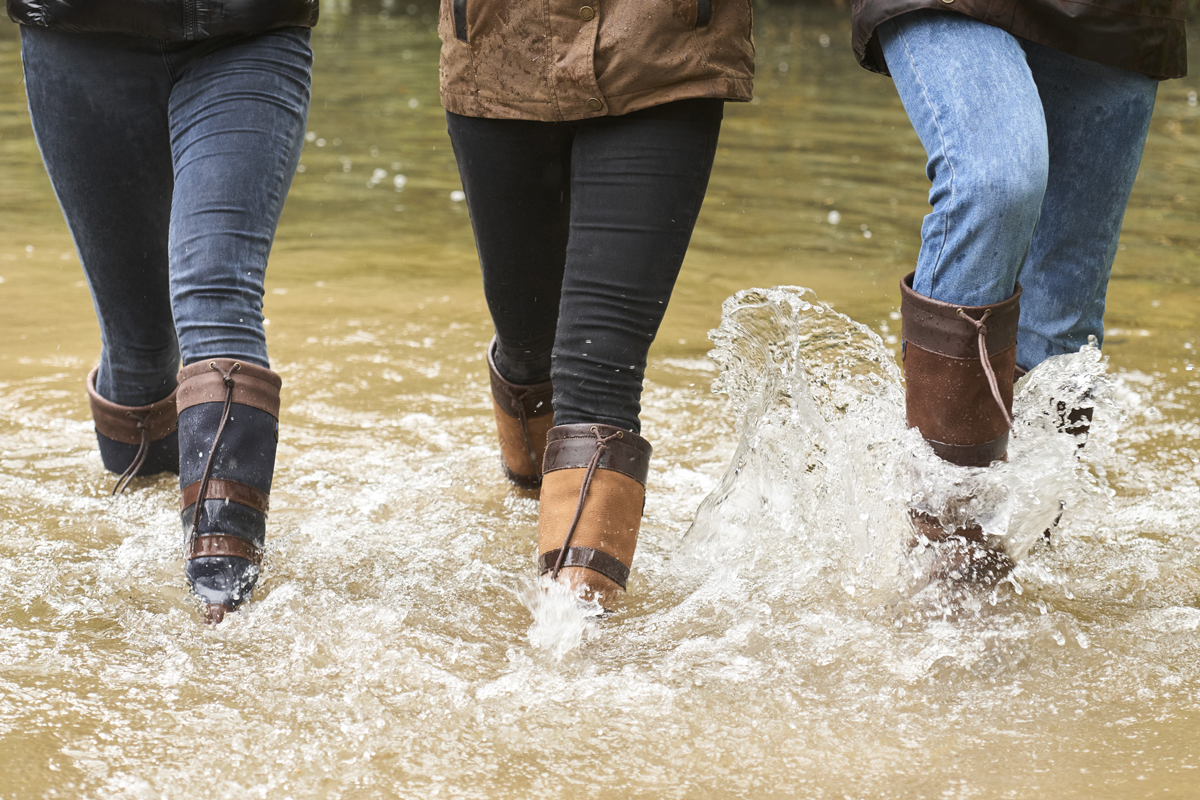 Navy, Brown and Walnut Dubarry Unisex Galway Boots