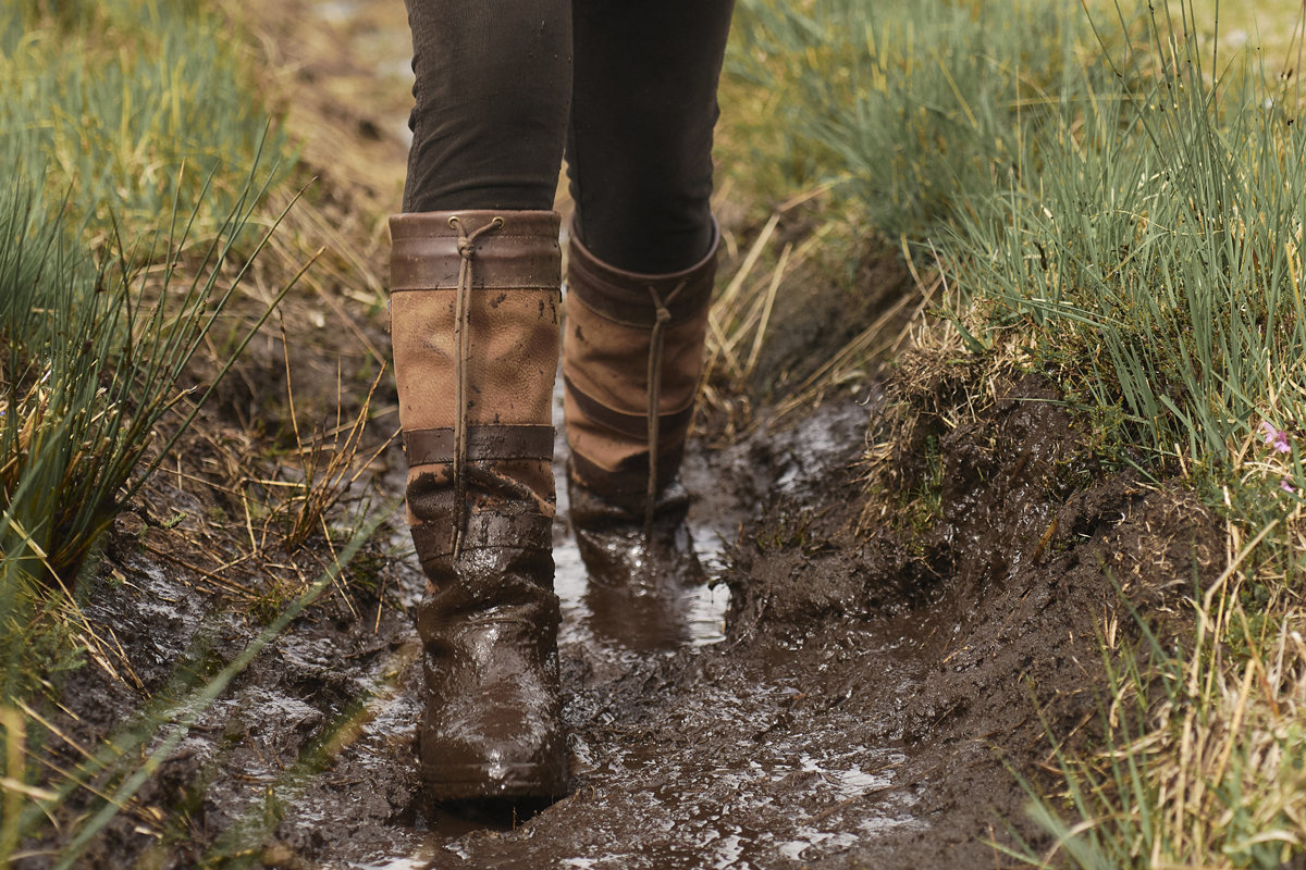 Walnut Dubarry Unisex Galway Boots