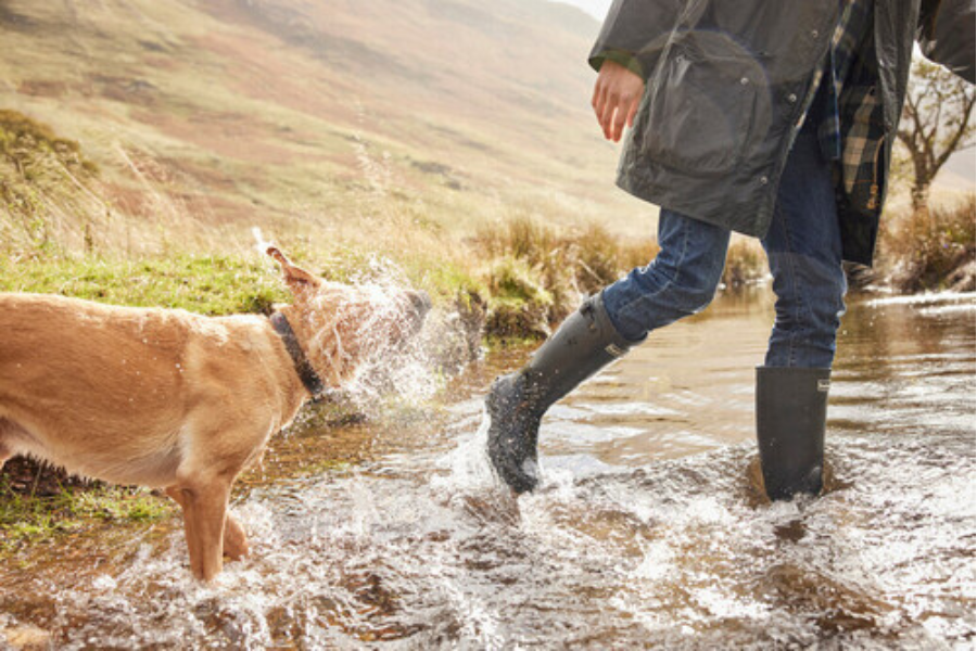 Barbour Bede Wellies