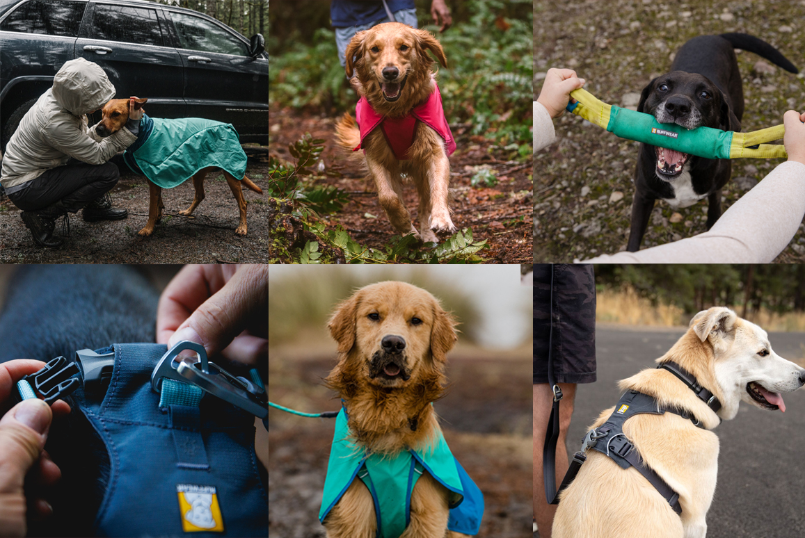 Ruffwear collection at Philip Morris and Son